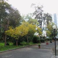 QUATTRO VANI 115 mq MEDAGLIE D'ORO/RISORGIMENTO