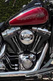 Harley Davidson