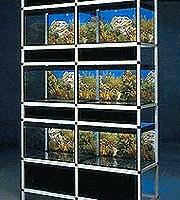 Espositore per pesci