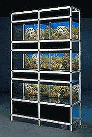 Espositore per pesci