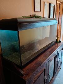 acquario 