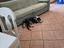 Immagine 1