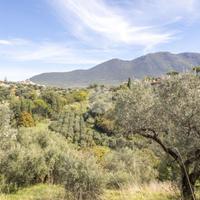 TER. AGRICOLO A PALOMBARA SABINA