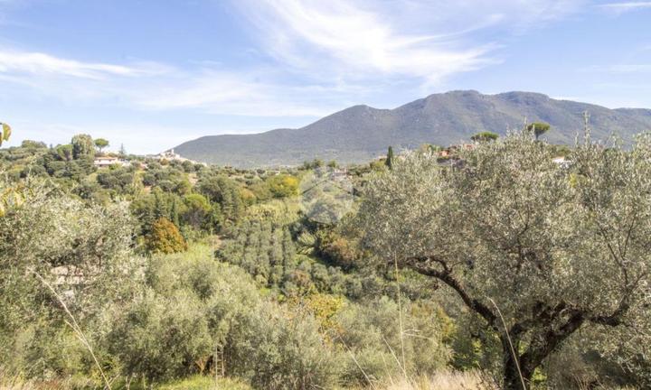 TER. AGRICOLO A PALOMBARA SABINA