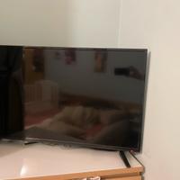 Tv/Schermo 40 pollici TD Systems K40DLM7F