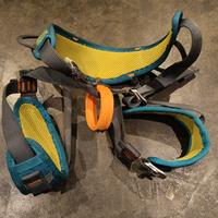 Imbrago simond jounior