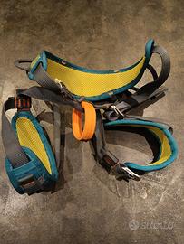 Imbrago simond jounior