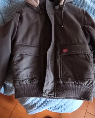 Giubbotto Dickies