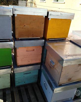 Arnie usate e materiale apistico