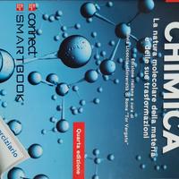 Chimica di Silberberg e Amateis