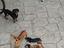 Immagine 2