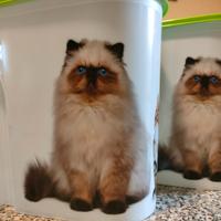 contenitori crocchette gatto