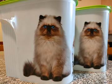 contenitori crocchette gatto