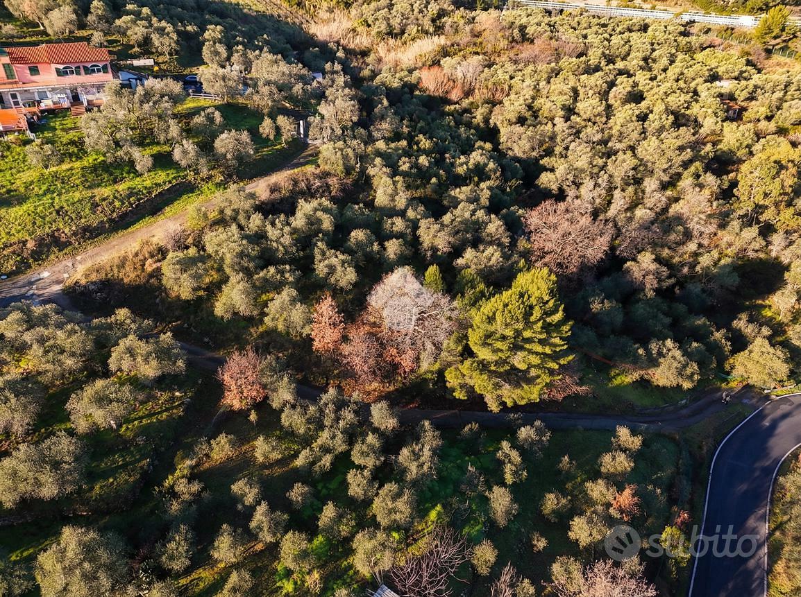 TER. AGRICOLO A COSTARAINERA - Vista 5