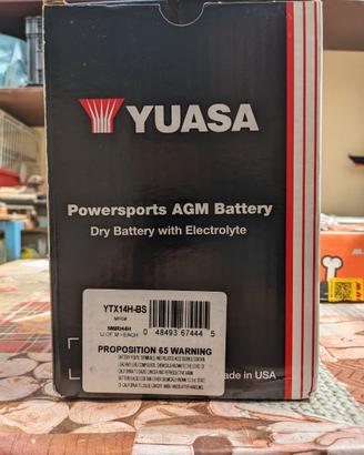 Batteria YUASA YTX14H-BS