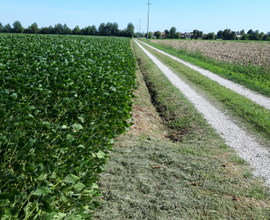 Terreno agricolo