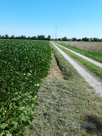 Terreno agricolo