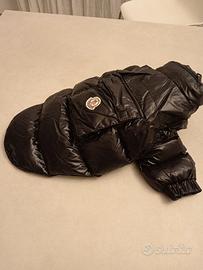 Piumino Moncler per cani 