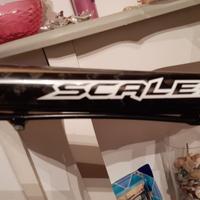 MTB SCOTT SCALE 30 Carbonio, FOX, XT
