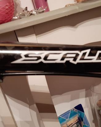 MTB SCOTT SCALE 30 Carbonio, FOX, XT