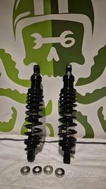 Ammortizzatori bitubo x sportster RR shocks hd Sts