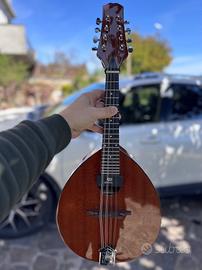 Mandolino a fondo piatto in mogano amplificato