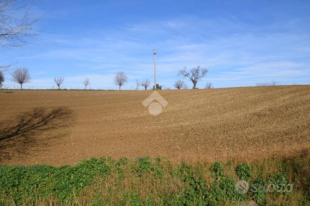 TER. AGRICOLO A MISANO ADRIATICO