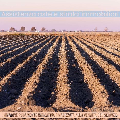 Terreno Agricolo a Burago di Molgora