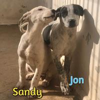 Jon e sandy