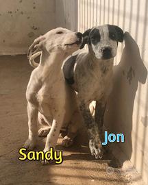 Jon e sandy