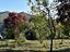 Immagine 29