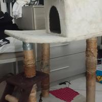 gioco cuccia x gatti