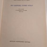 Maria R. Catti De Gasperi, De Gasperi, Uomo Solo