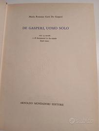 Maria R. Catti De Gasperi, De Gasperi, Uomo Solo