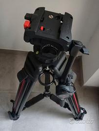 Cartoni Treppiede T629/2