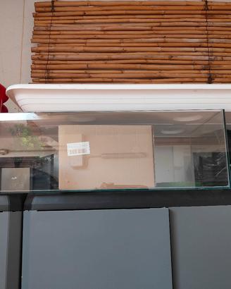 Terrario in vetro