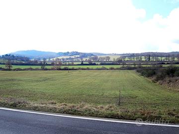 Loc. Prato Staffa (05013) terreno 12850 mq