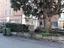 Immagine 27