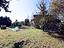 Immagine 23