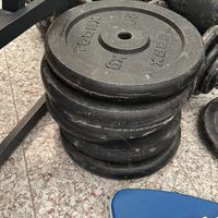 Palestra