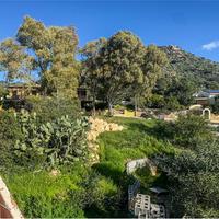 Villa bifamiliare con piscina a Torre delle Stelle