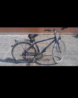 Spillo bianchi bicicletta