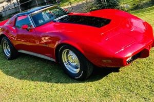 Corvette C3 stingray custom