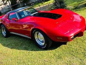 Corvette C3 stingray custom