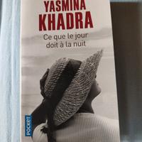 Ce que le jour à fait à la nuit