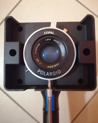 Polaroid DS 34 