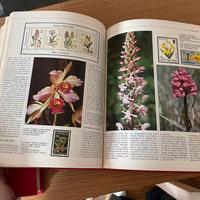 3 libri francobolli con spiegazioni 