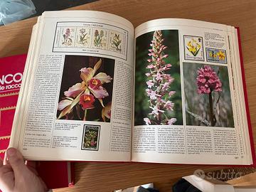 3 libri francobolli con spiegazioni 