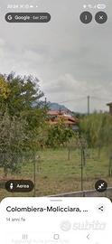 Terreno agricolo