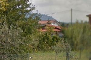 Terreno agricolo